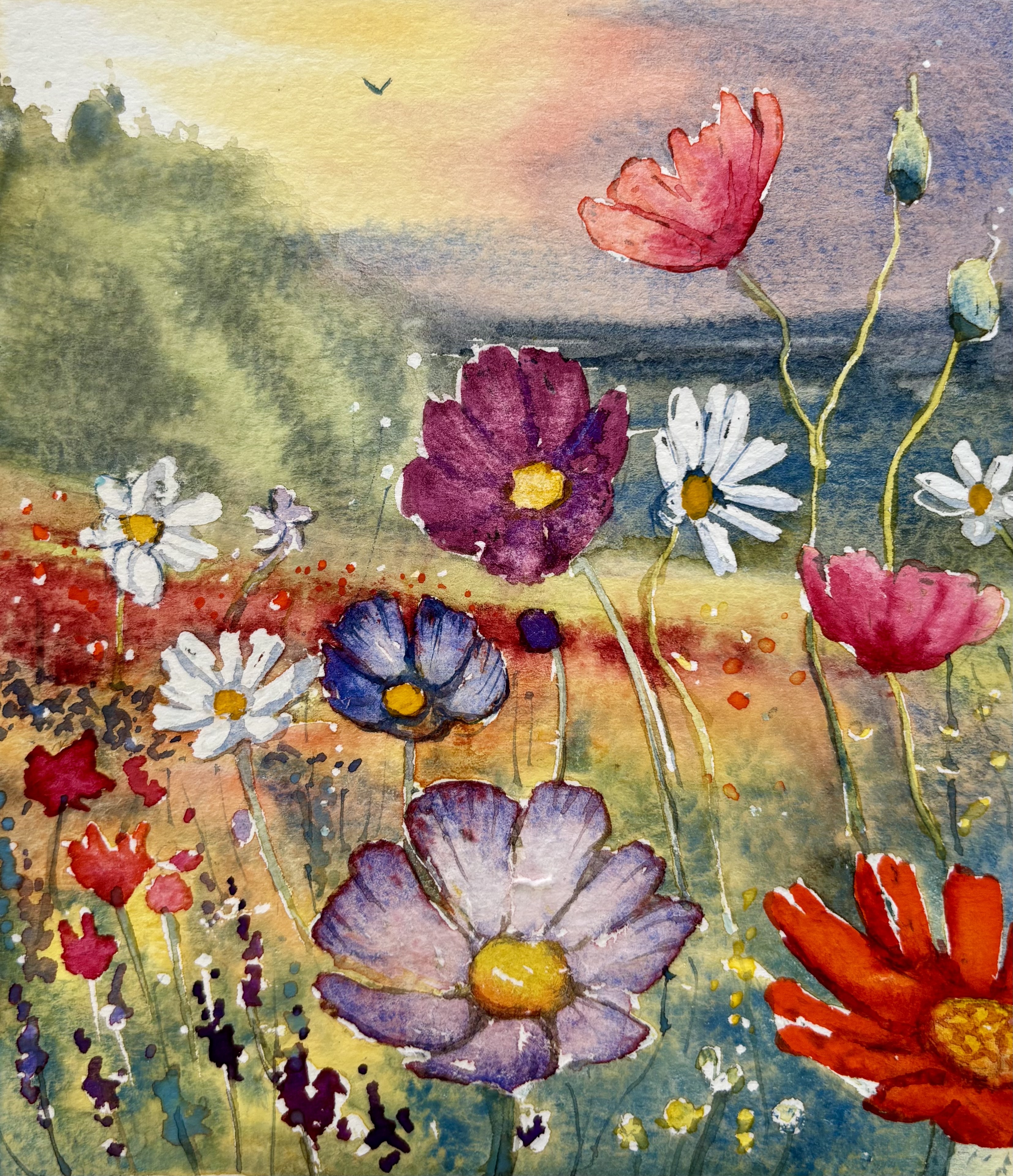 Wildflower Meadow