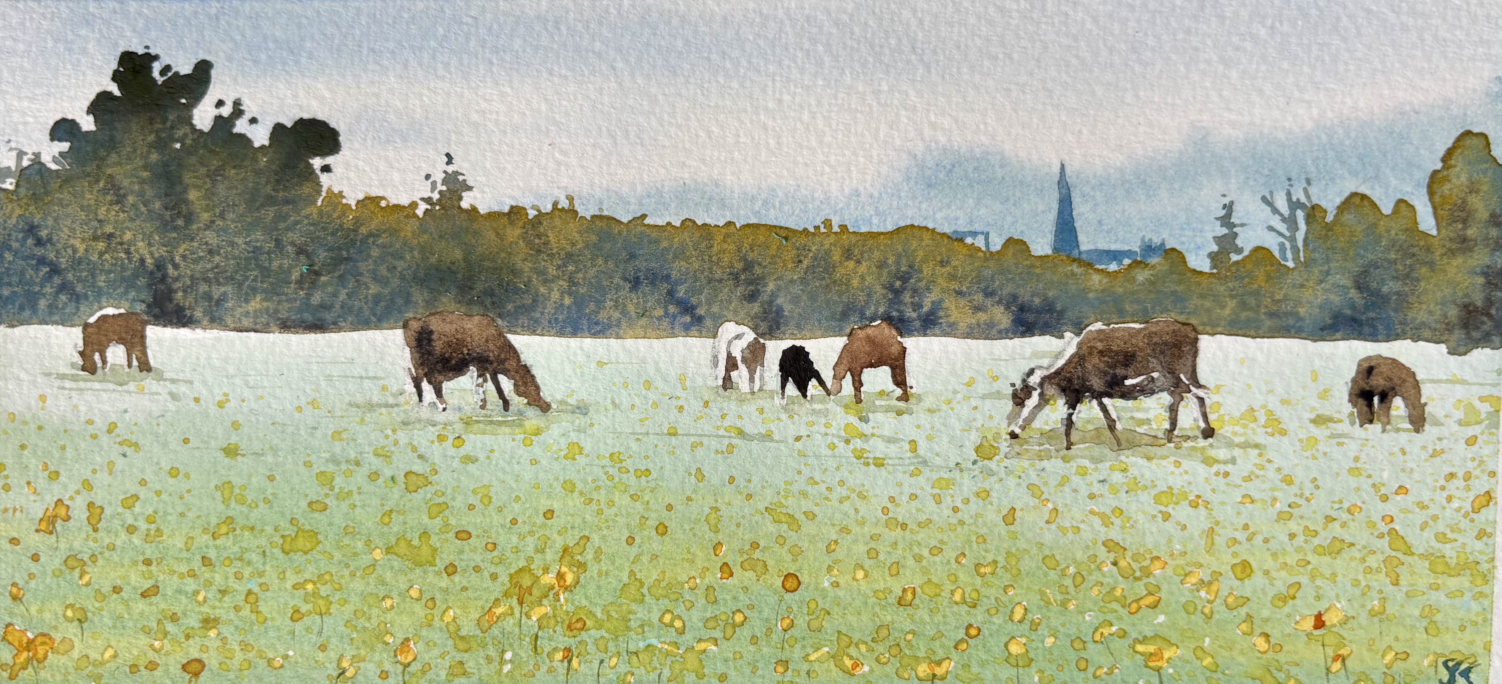 Morning Pasture