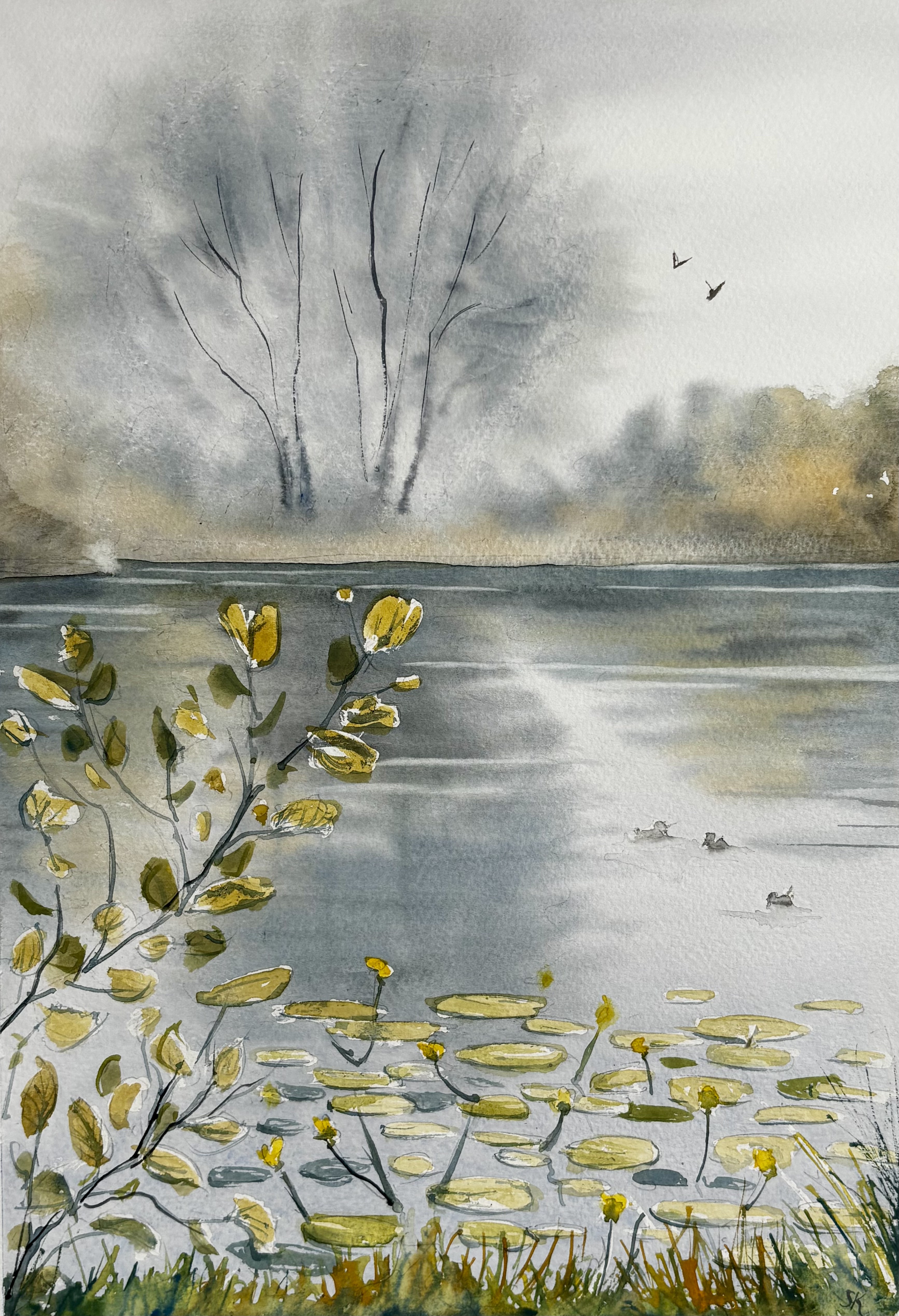 Misty Lake