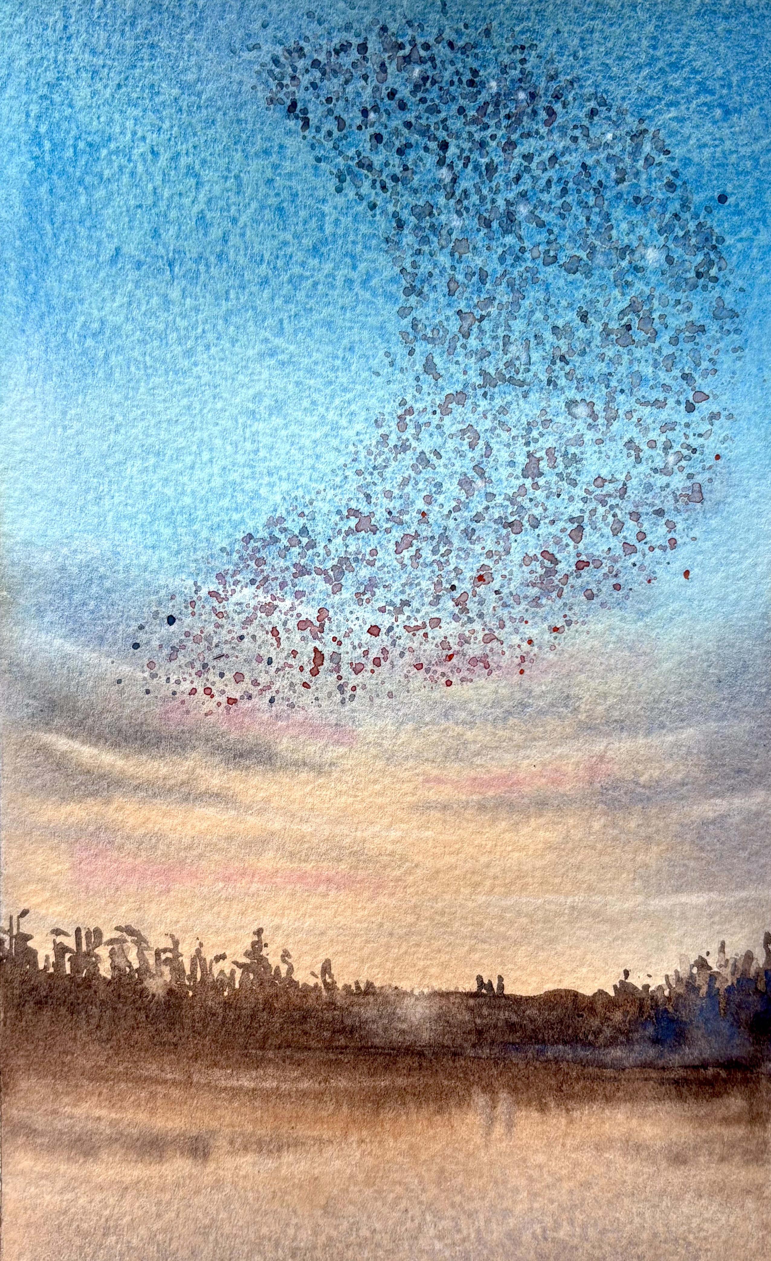 Murmuration
