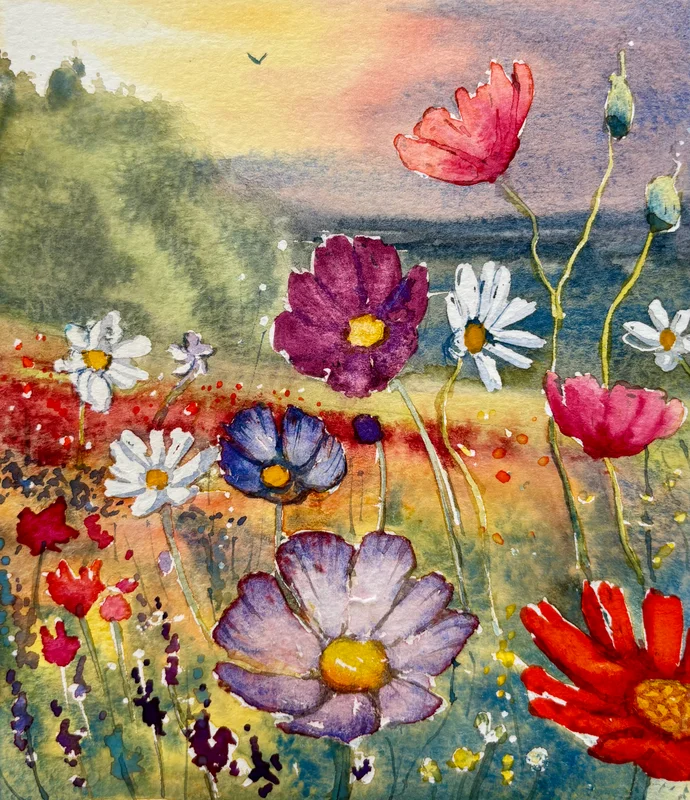 Wildflower Meadow